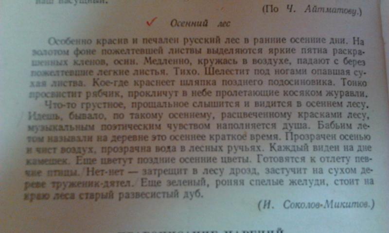 Диктант 7 класс шаровая молния с ответами. Осенний лес диктант. Лес осенью диктант 7 класс. Диктант осень в лесу. Диктант русский лес.