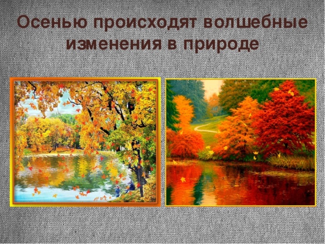 Изменения в природе. Осенние изменения в природе. Осень изменения в природе. Изменения в природе осенью. Осень сезонные изменения.