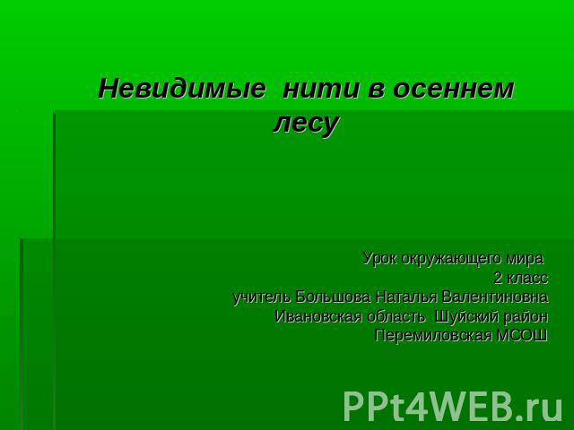 Модель невидимые нити 2 класс