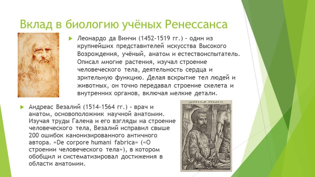 Ученые внесшие вклад в развитие биологии. Леонардо да Винчи вклад в биологию. Вклад ученого в биологию Леонардо да Винчи. Ученый Леонардо да Винчи достижения в изучении человека. Вклад в ученых в развитие вклад в развитие биологии.