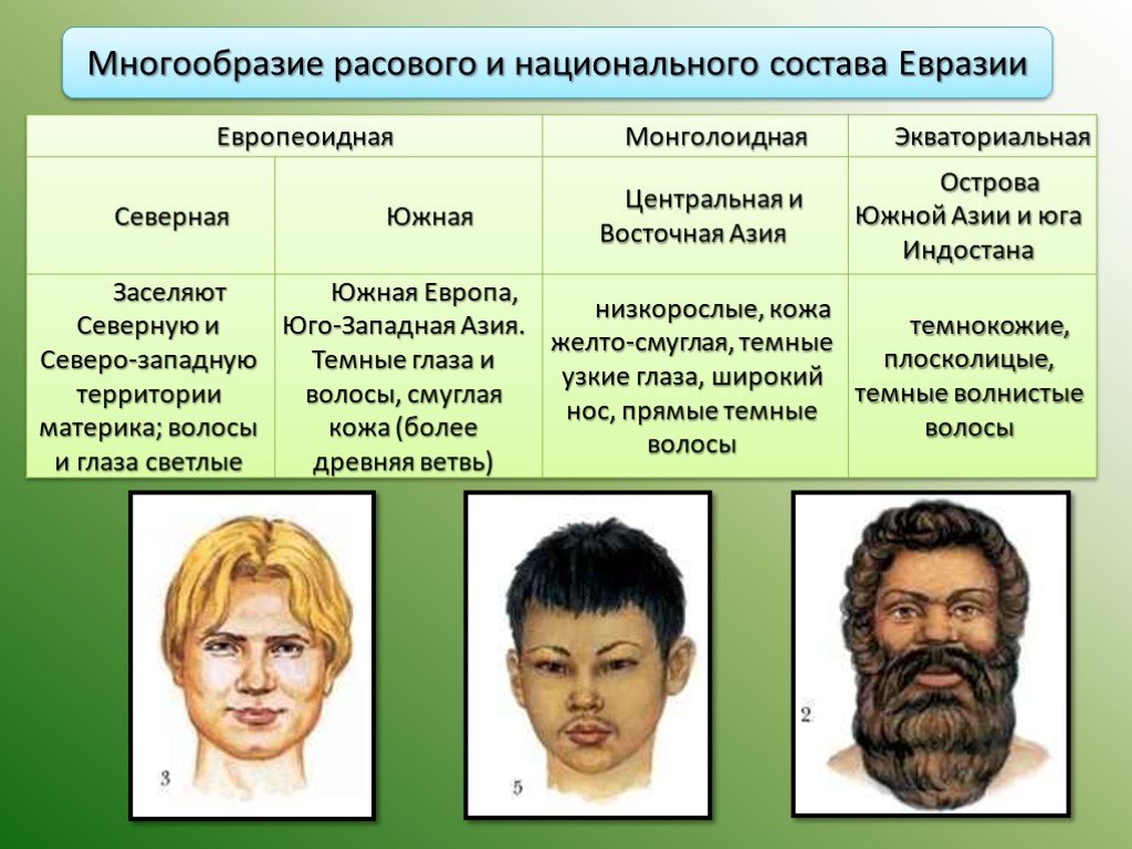 Определение расы. Население Евразии 7 класс география. Люди разных рас. Расы людей. Расы и народы Евразии.