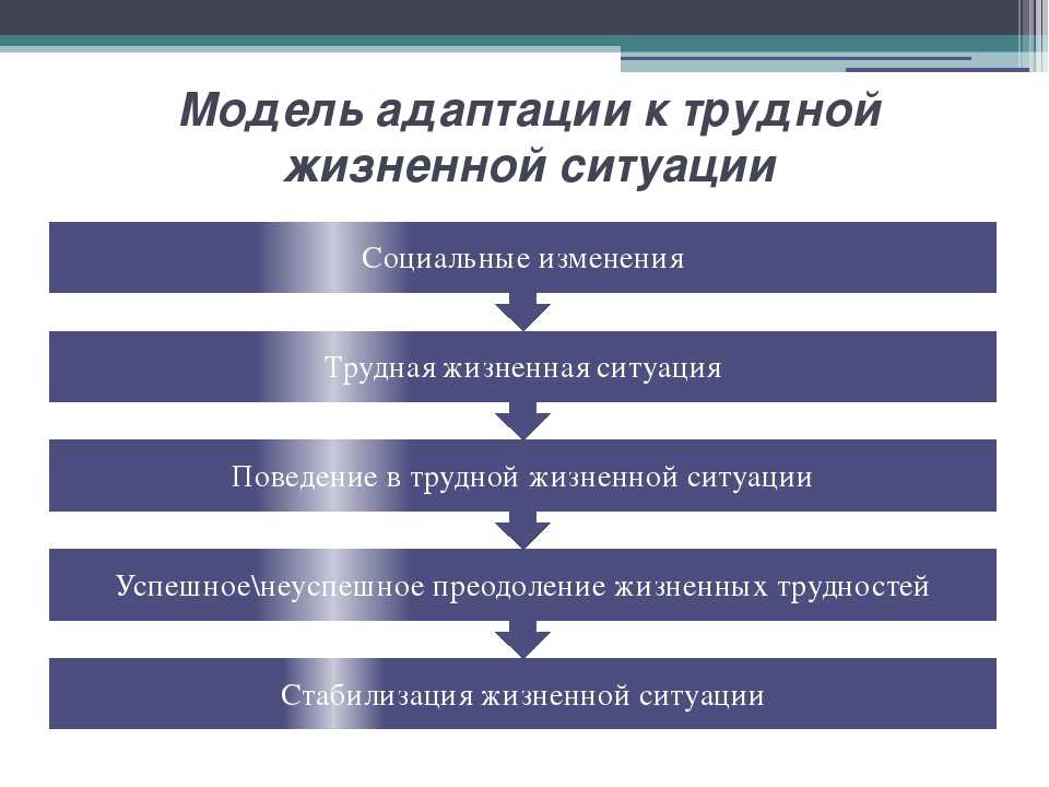 Программа социальной адаптации образец