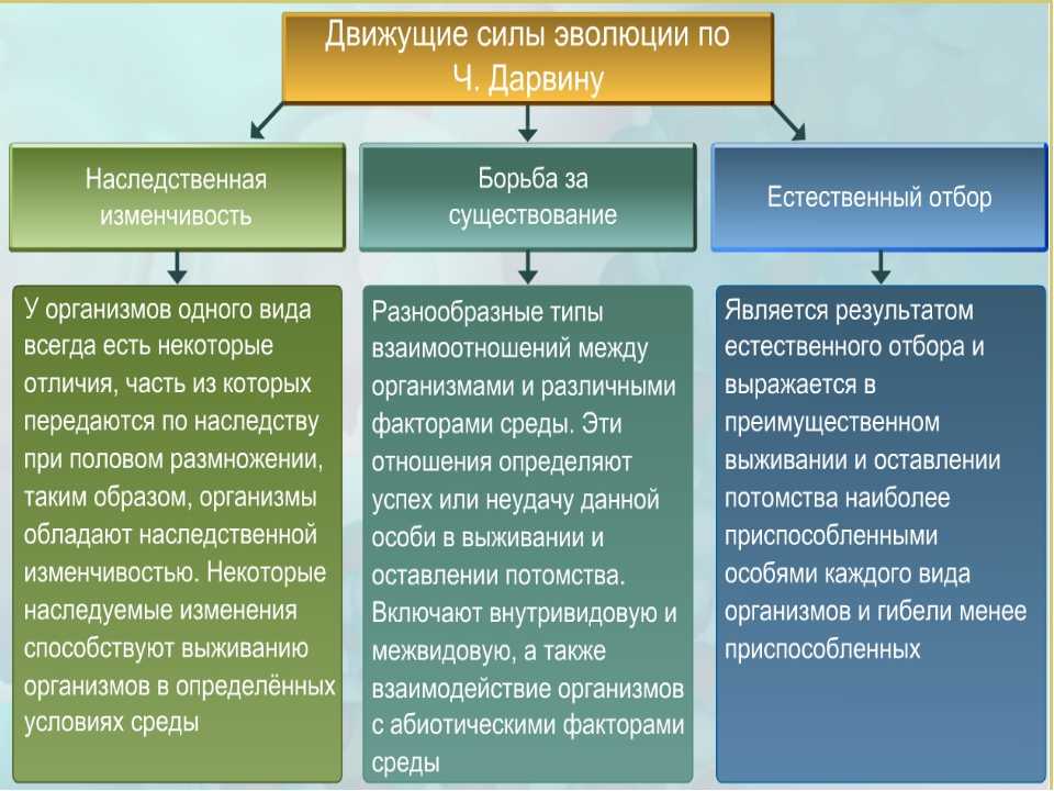 Влияние природных факторов на развитие общества план по обществознанию егэ