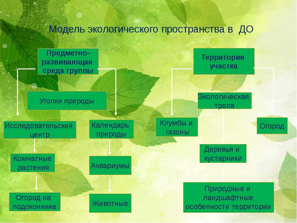 Технологическая карта трудовой деятельности в природе в подготовительной группе