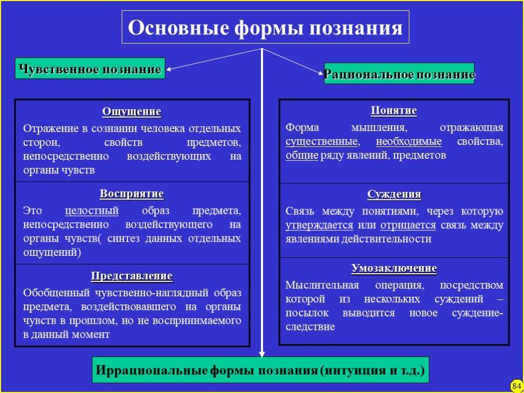 Составьте план текста совместное гармоничное развитие природы и общества есть