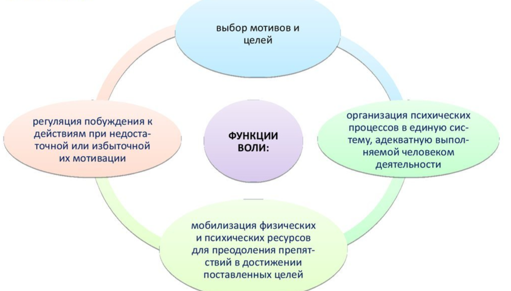 Схема функции воли