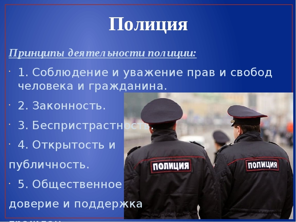 Проект защита правопорядка