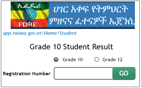 NEAEA Grade 10 Result 2020
