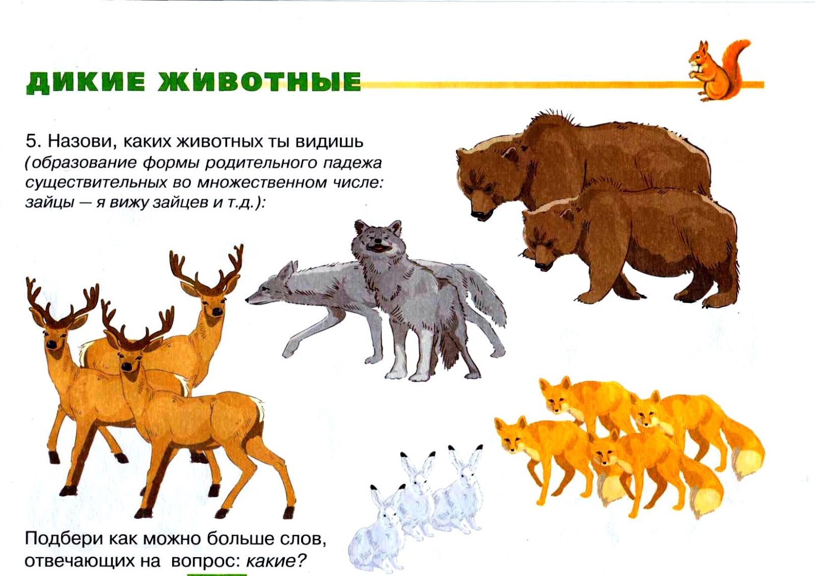 Домашние животные презентация для старшей группы