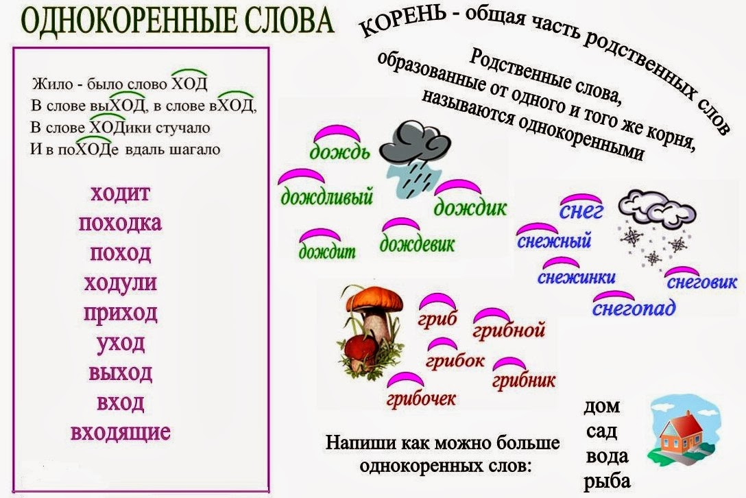 Картина однокоренные слова