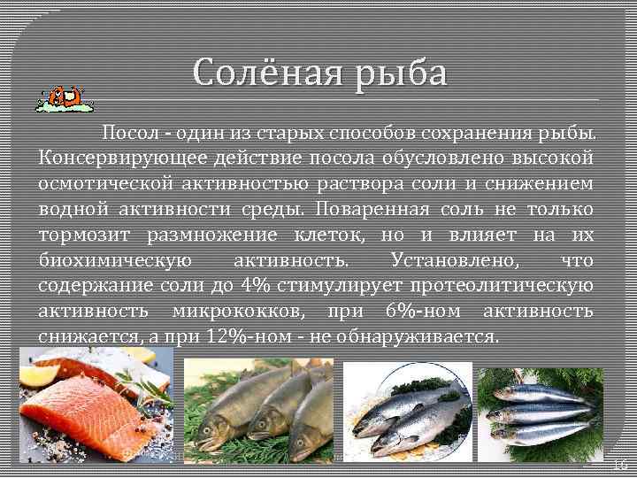 Человек съел много соленой рыбы. Характеристика соленой рыбы. Соленая рыба ассортимент. Виды рыбы для готовки. Презентация рыбной продукции.