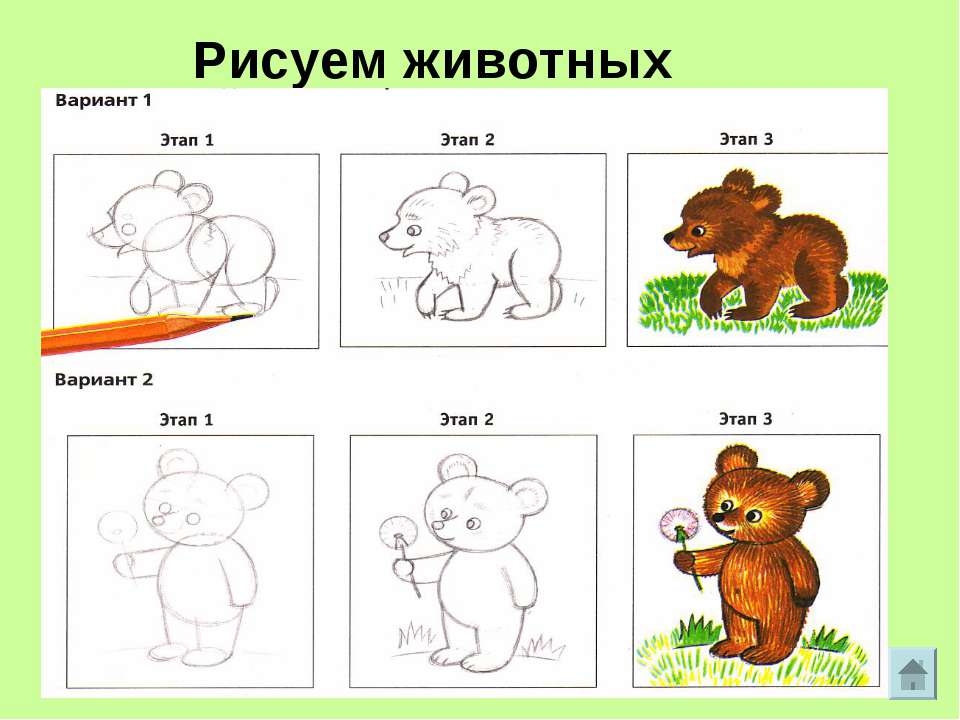 Изо 2 класс рисуем животных