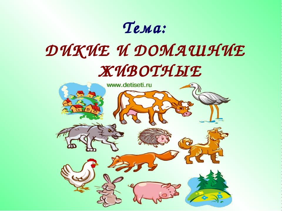 Про диких и домашних. Дикие и домашние животные. Домашние и дикиетживорные. Дикие и домашние животные презентация. Домашние и Дикие животные для детей.