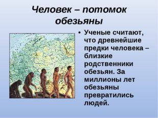 Человек – потомок обезьяны Ученые считают, что древнейшие предки человека – б