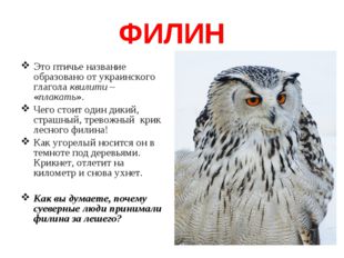 ФИЛИН Это птичье название образовано от украинского глагола квилити – «плакат