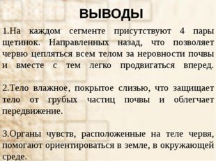 ВЫВОДЫ 1.На каждом сегменте присутствуют 4 пары щетинок. Направленных назад,