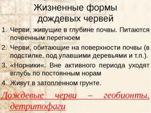 Жизненные формы дождевых червей Черви, живущие в глубине почвы. Питаются почв