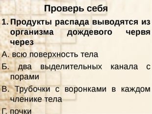 Проверь себя Продукты распада выводятся из организма дождевого червя через А.