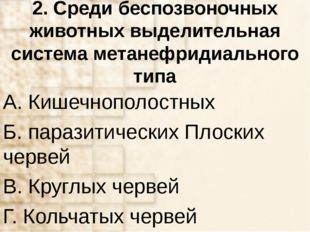 2. Среди беспозвоночных животных выделительная система метанефридиального тип