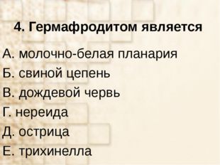 4. Гермафродитом является А. молочно-белая планария Б. свиной цепень В. дожде