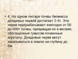 4. На одном гектаре почвы биомасса дождевых червей достигает 2-4т. Эти черви