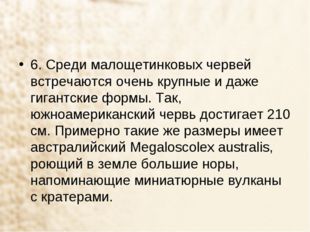 6. Среди малощетинковых червей встречаются очень крупные и даже гигантские фо