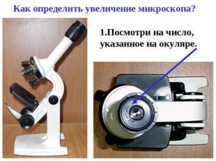 Как определить увеличение микроскопа? 1.Посмотри на число, указанное на окуля