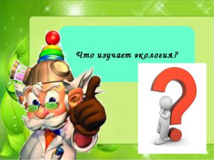 Что изучает экология? 