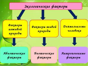 Экологические факторы Факторы неживой природы Факторы живой природы Деятельн