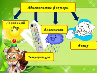  Абиотические факторы Солнечный свет Температура Влажность Ветер 