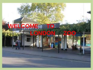 WELCOME TO LONDON ZOO 