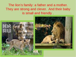 The lion’s family: a father and a mother. They are strong and clever. And the