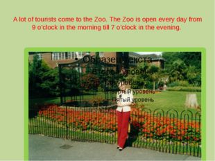 A lot of tourists come to the Zoo. The Zoo is open every day from 9 o’clock i