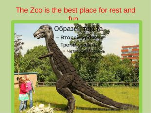 The Zoo is the best place for rest and fun. 