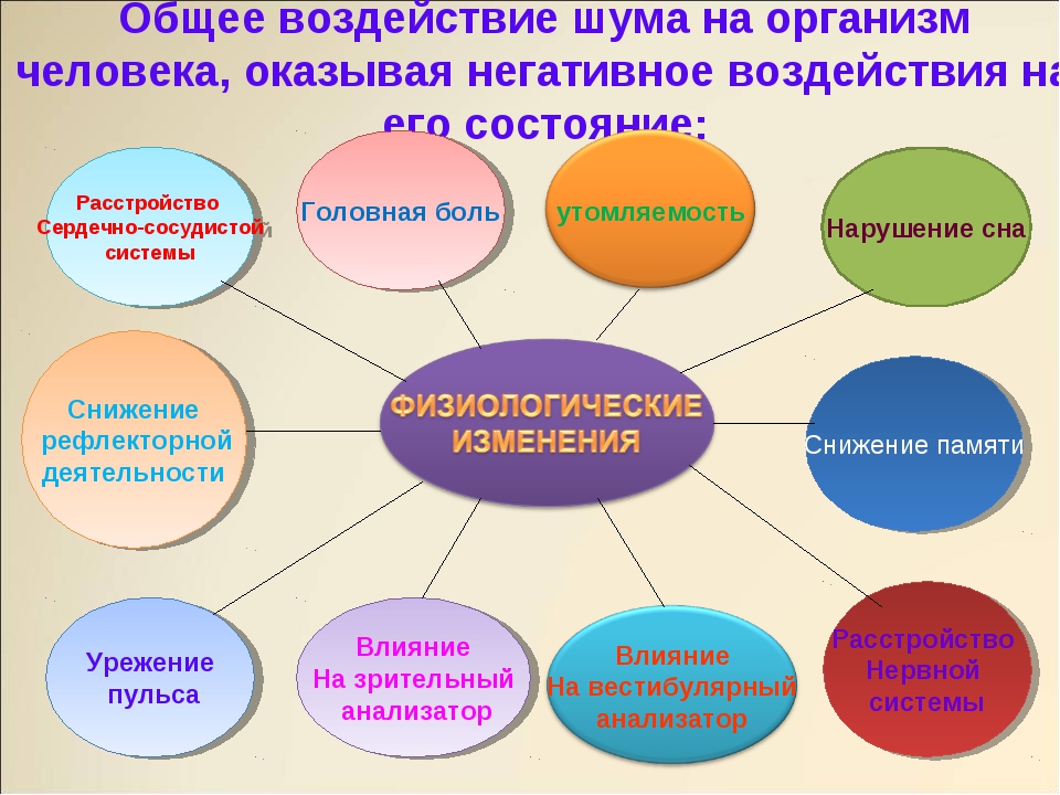 Проект на тему воздействие шума на организм человека