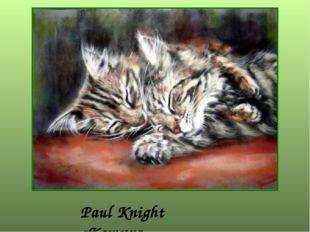  Paul Knight «Кошки»  