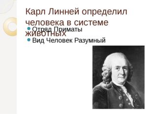 Карл Линней определил человека в системе животных Отряд Приматы Вид Человек Р