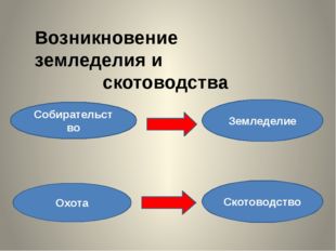 Возникновение земледелия и скотоводства Собирательство Земледелие Охота Ското