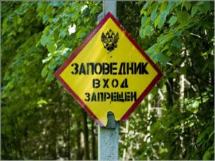 Заповедники и национальные парки России 2017 год – год особо охраняемых терри