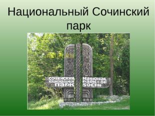 Национальный Сочинский парк 