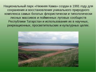 Национальный парк «Нижняя Кама» создан в 1991 году для сохранения и восстанов