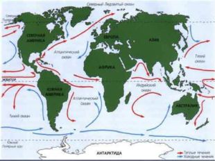 Мировой Океан объединяет 4 крупнейших океана: Тихий, Атлантический, Индийский