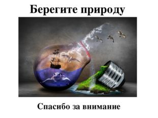 Берегите природу Спасибо за внимание 