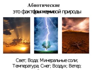 Свет; Вода; Минеральные соли; Температура; Снег; Воздух; Ветер; Радиация; это