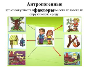 это совокупность влияний деятельности человека на окружающую среду. Антропоге