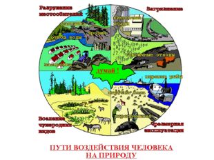 Я сорвал цветок – и он увял. Я поймал мотылька – и он умер у меня на ладони.