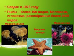 Создан в 1978 году Рыбы – более 100 видов. Моллюски, иглокожие, ракообразные