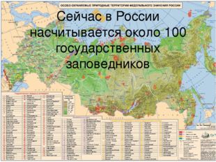Сейчас в России насчитывается около 100 государственных заповедников 