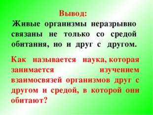 Вывод:  Живые организмы неразрывно связаны не только со средой обитания, но и