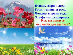 Как вы думаете:   что мы будем изучать? Птицы, звери и леса, Гром, туманы и р